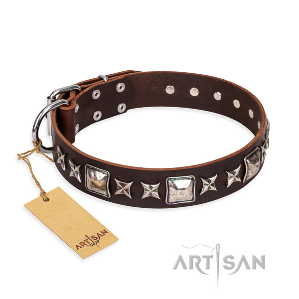 Exceptional genuine leather dog collar for everyday use