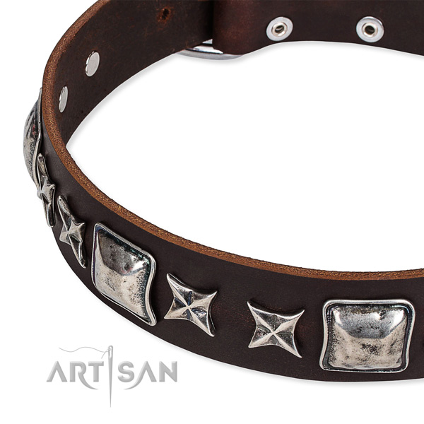 Full grain natural leather dog collar with embellishments for everyday use