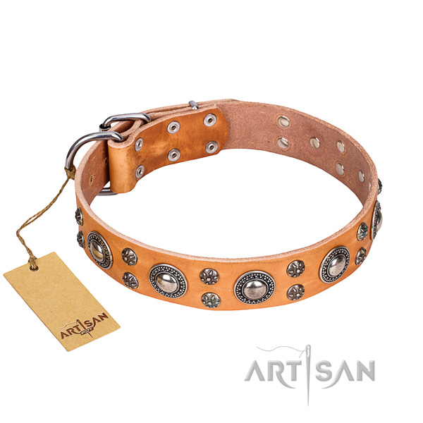 Fashionable full grain natural leather dog collar for stylish walking