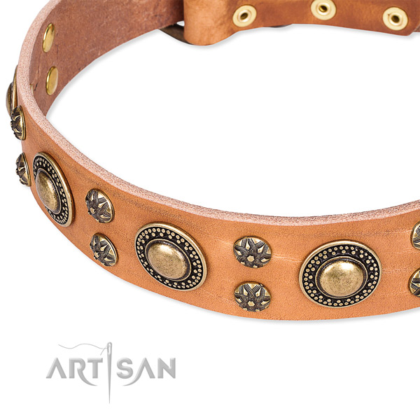 Leather dog collar with unusual decorations