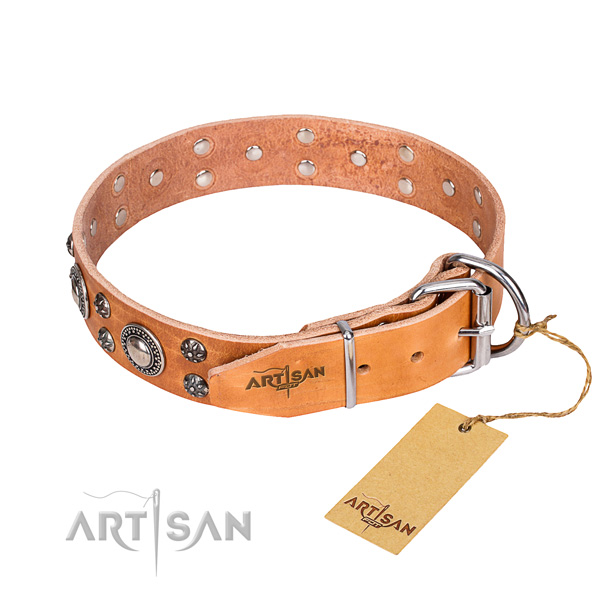 Daily use full grain leather collar with adornments for your doggie