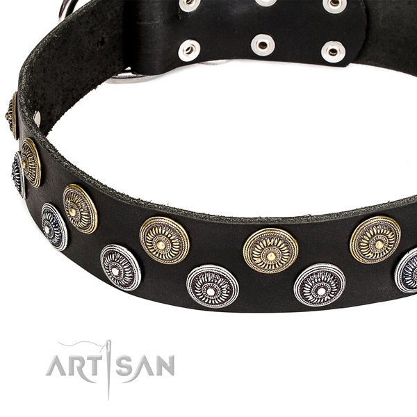 Natural genuine leather dog collar with exceptional  studs