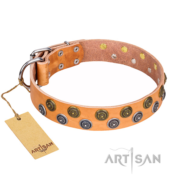 Unique full grain leather dog collar for stylish walking