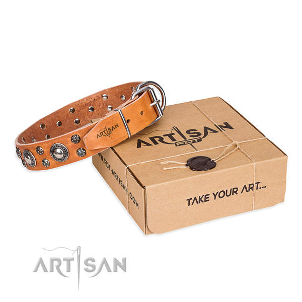 Finest quality full grain natural leather dog collar for everyday walking