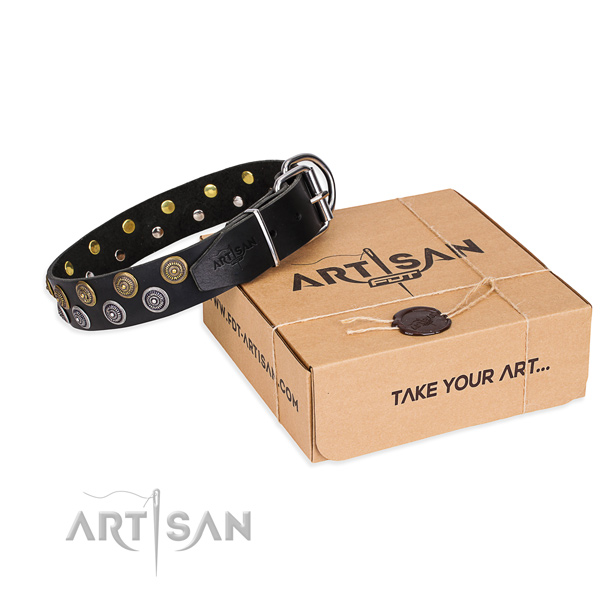 Natural genuine leather dog collar with studs for  everyday walking