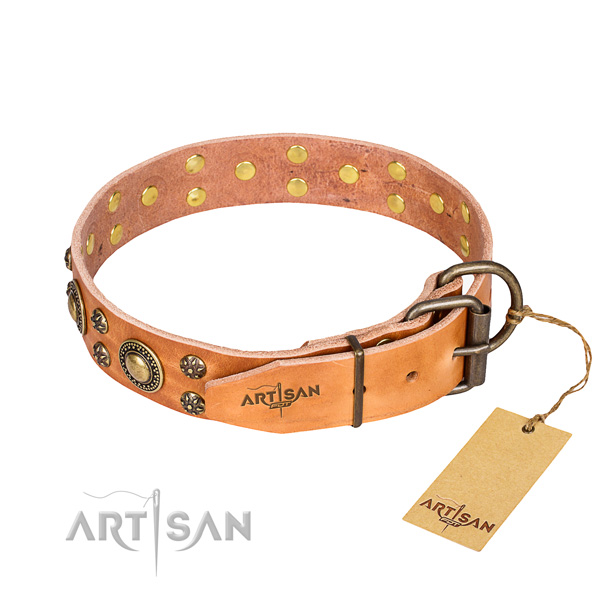 Handy use full grain natural leather collar with adornments for your four-legged friend