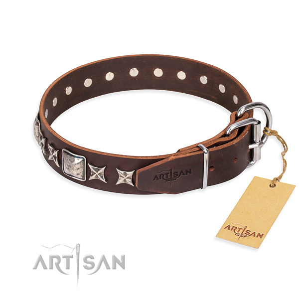 Stylish walking full grain leather collar with adornments for your doggie