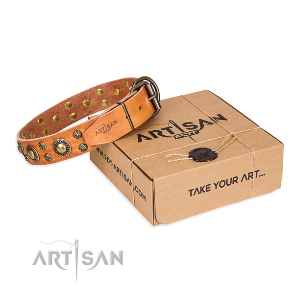 Natural genuine leather dog collar with embellishments for everyday walking