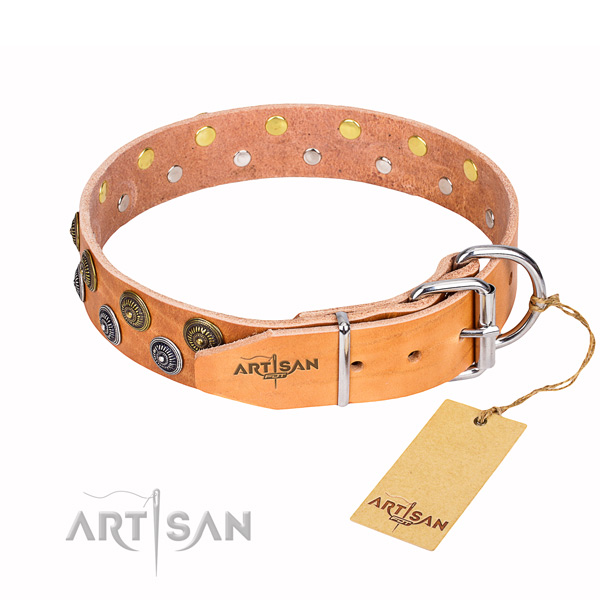 Daily walking full grain leather collar with decorations for your doggie