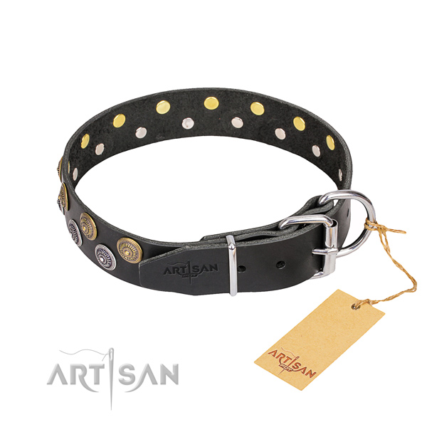 Stylish walking full grain leather collar with  embellishments for your canine