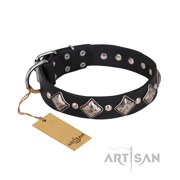 Tough leather dog collar with durable elements
