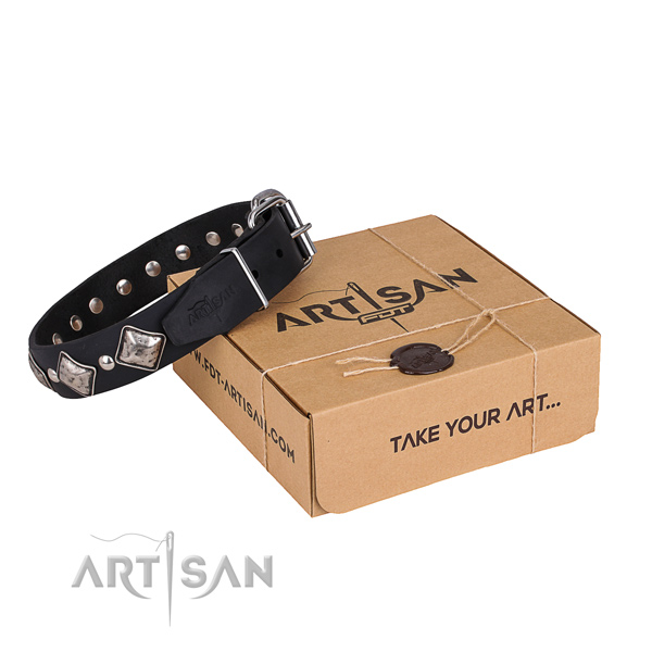 Daily leather dog collar with cute adornments