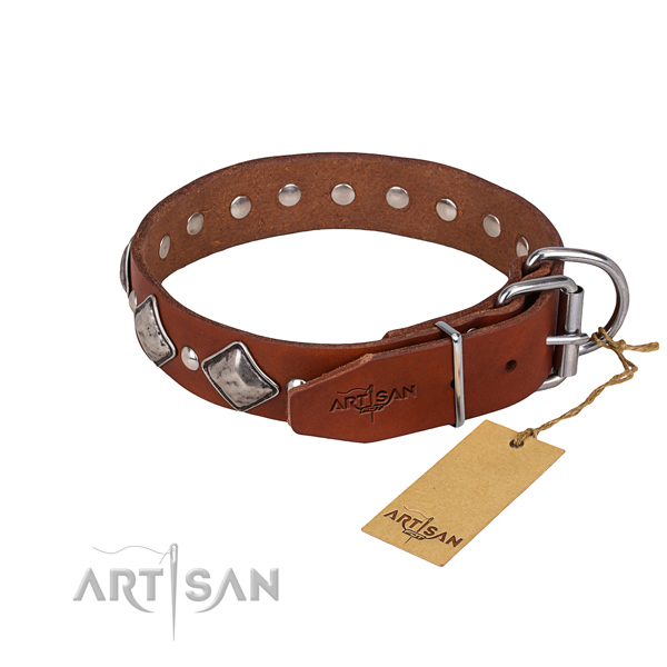 Genuine leather dog collar with thoroughly polished surface