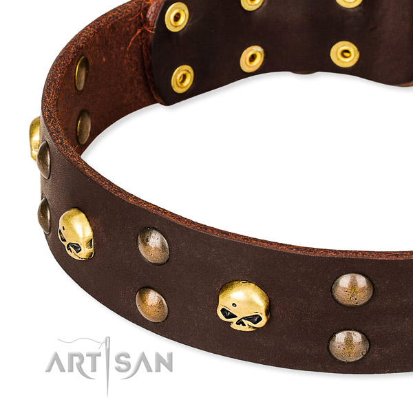 Day-to-day leather dog collar for stylish walking