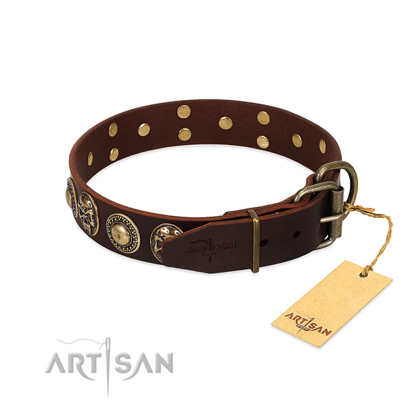 Everyday use full grain genuine leather collar with studs for your canine