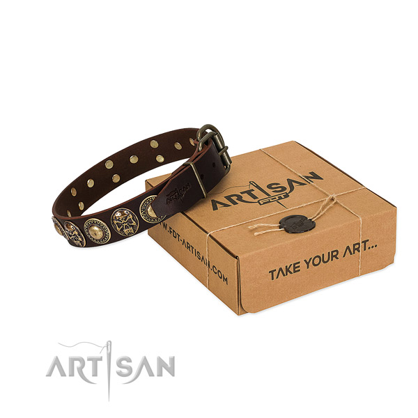 Studded full grain leather dog collar for daily use