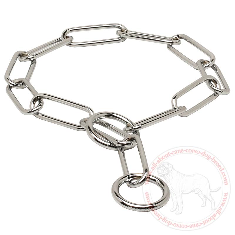 dog chain link collar