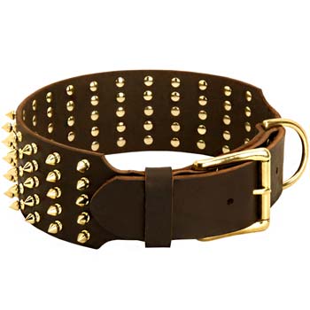 Purchase Wide Brass Spiked Cane Corso Collar | Dog Walking