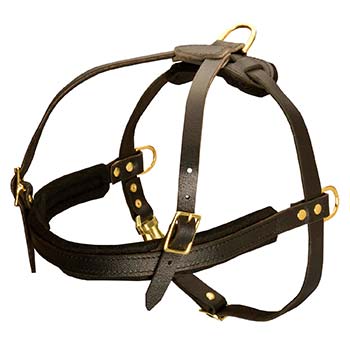 Smooth Leather Harness for Cane Corso Pulling Activity
