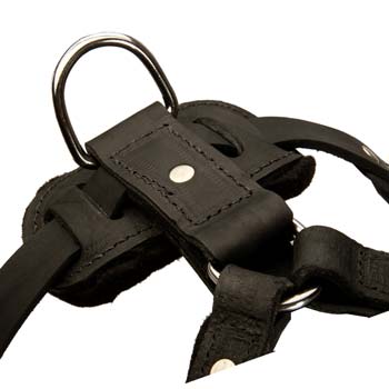Training leather harness with built-in D-ring