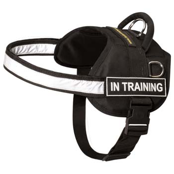 Reflective sport dog harness