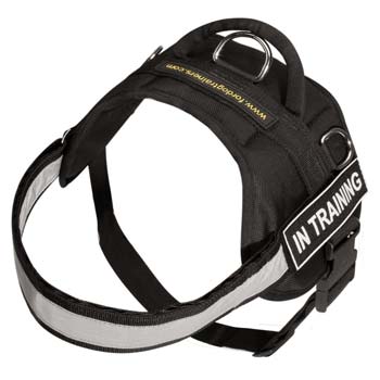 Safety hardwearing nylon training harness