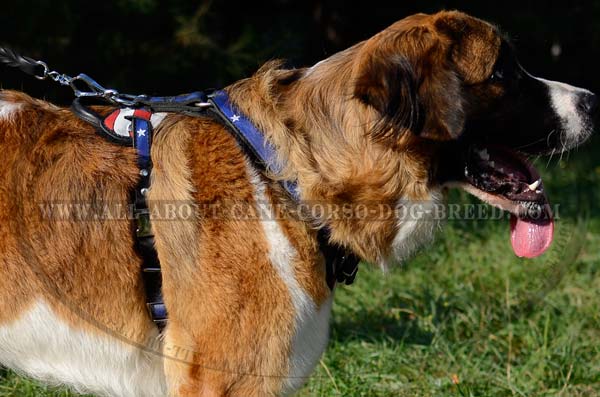 Amazing Leather Dog Harness With USA Flag Painting