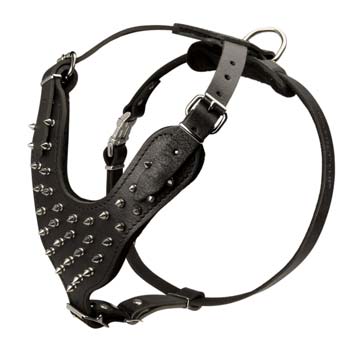 Necessary comfy decorated leather dog harness