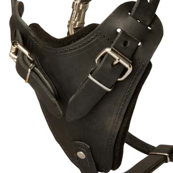 Leather dog harness with protection breast plate