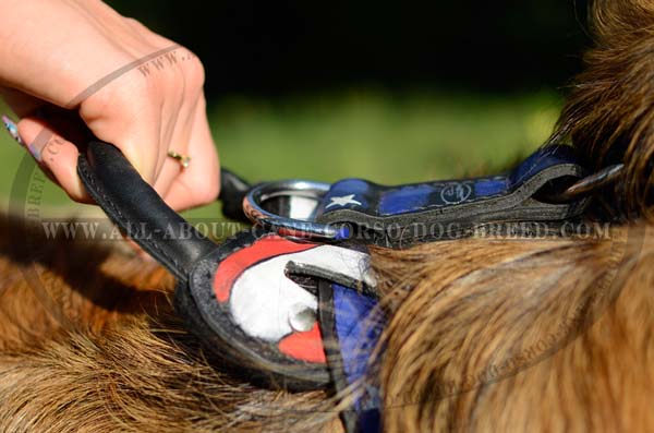 Handicraft Leather Dog Harness for Moscow Watchdog