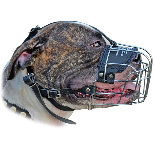 Dog Muzzle for Pitbulls, Basket Muzzle for Large Dogs, German Shepherd  Muzzle for Rottweiler Amstaff Doberman, Adjustable Metal Wire Dog Mouth  Guard