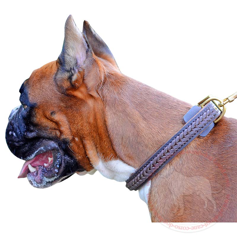 Designer Leather Boxer 【Muzzle】 with Studs and Spikes : Boxer Breed: Dog  harness, Boxer dog muzzle, Boxer dog collar