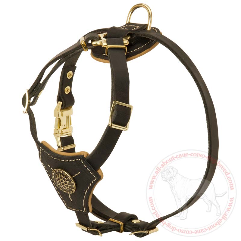 Leather dog harness for small outlet dog