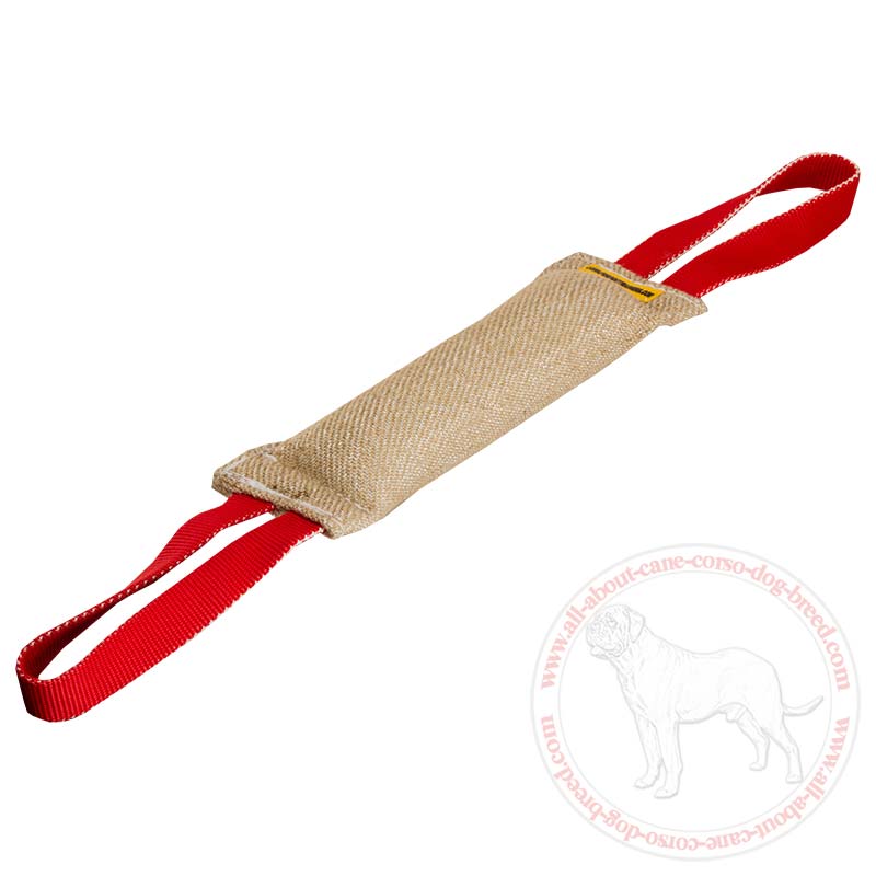 Play and Train Leather Dog Tug Toy with 2 Handles