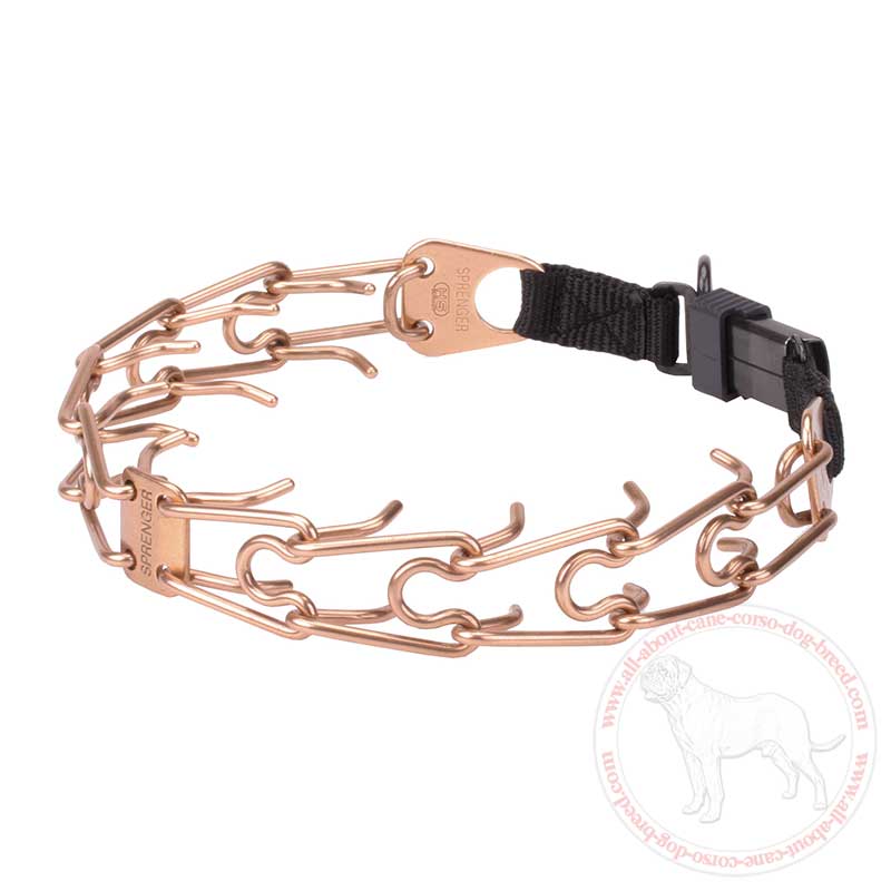 Purchase Cane Corso Pinch Collar