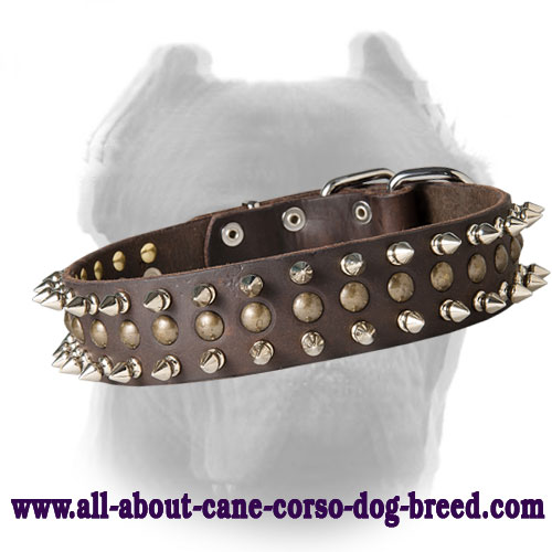 Custom Braided Black collar 25 for Cane Corso 25 inch dog