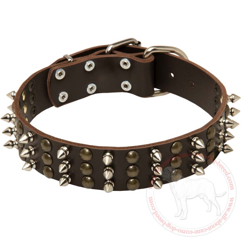 Buy 3 Rows Leather Cane Corso Collar Studded Spiked Walking