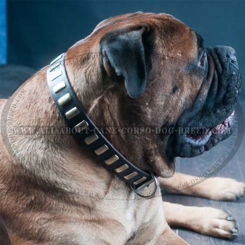 Leather Collar Large Dogs, Leather Dog Harness, Dog Collar Big Dogs