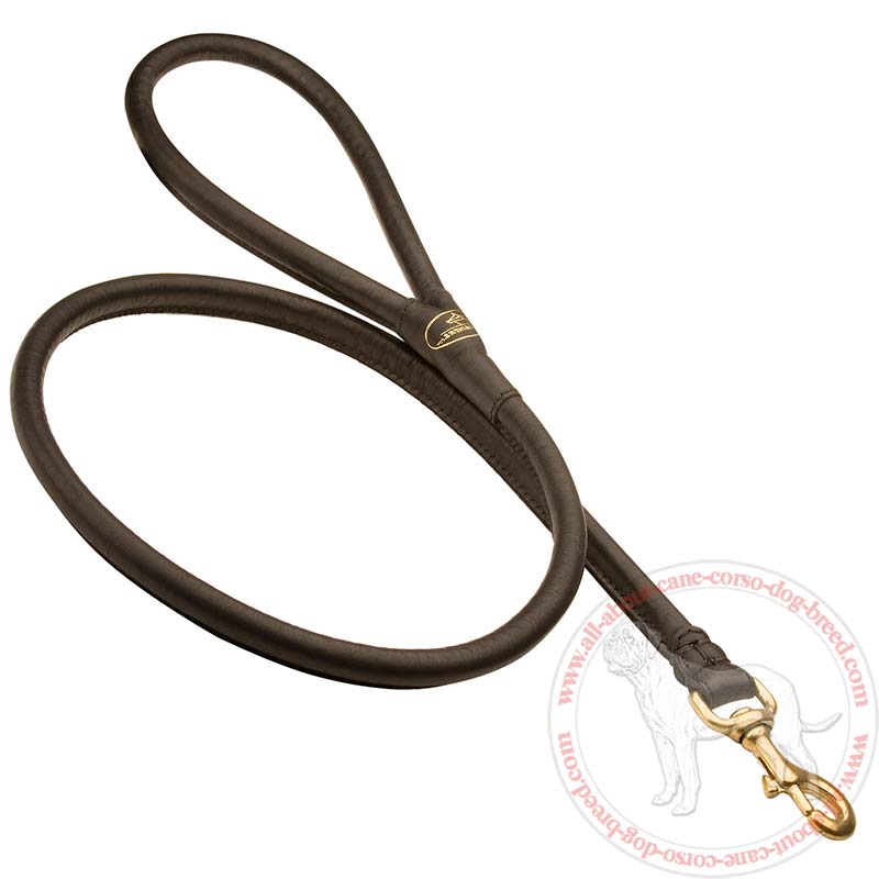 Latigo leather cheap leash