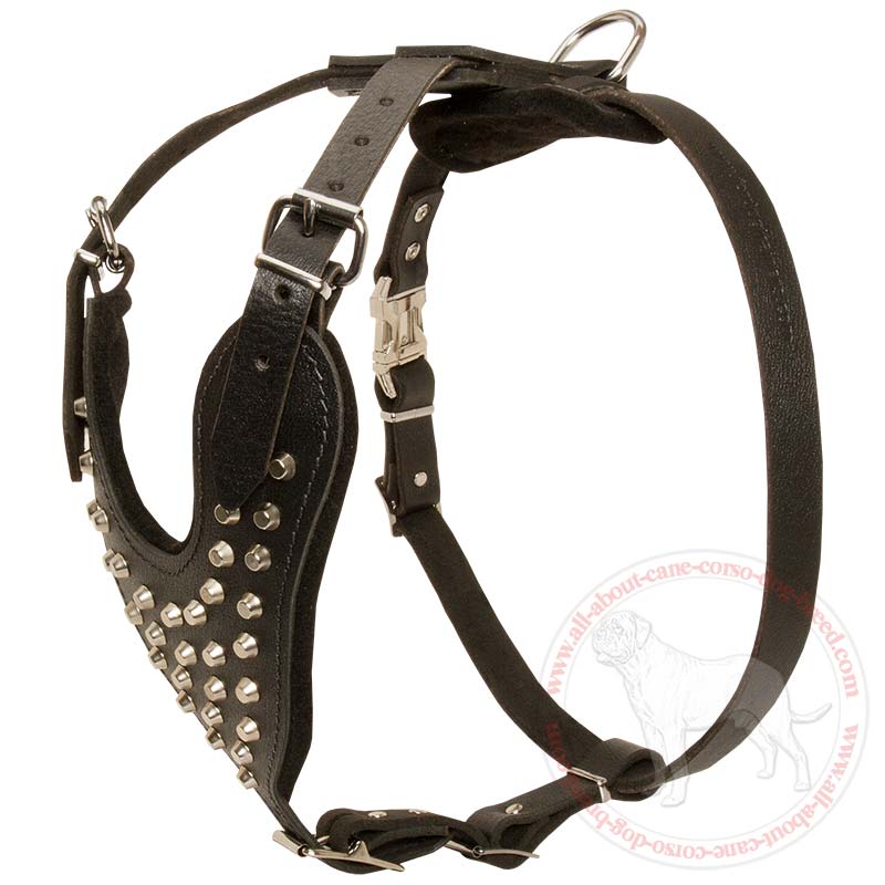 Buy Designer Dog HarnessSpiked Leather Dog Harness