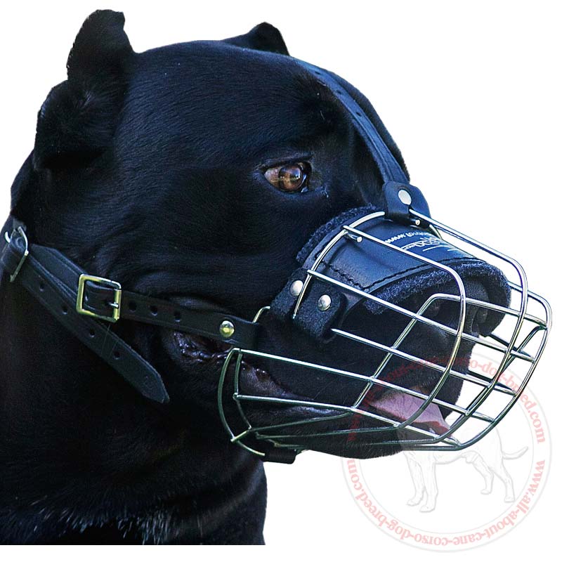 Dog Muzzle for Pitbulls, Basket Muzzle for Large Dogs, German Shepherd  Muzzle for Rottweiler Amstaff Doberman, Adjustable Metal Wire Dog Mouth  Guard