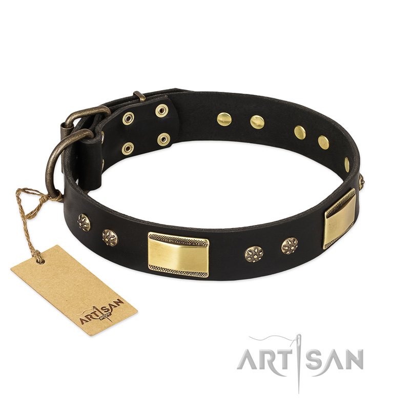 Cane top corso accessories