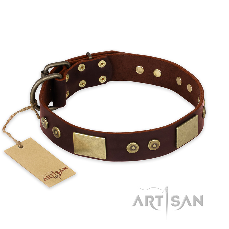 Leather studded shop dog harness