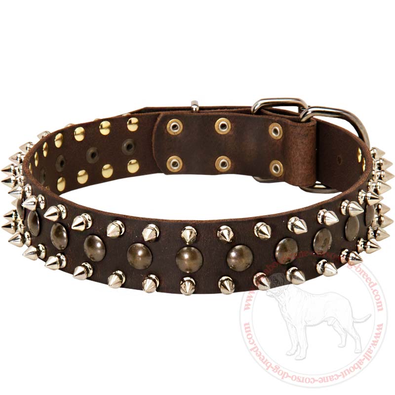 Custom Leather Dog Collar for CANE CORSO - Designer Dog Collar