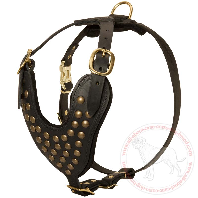 Handcrafted Leather dog collars for Doberman handmade : Doberman Breed: Dog  harness, Muzzle, Collar, Leash