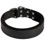 Strong Leather Dog Collar Padded with Thick Felt for Cane Corso  Strong Leather Dog Collar Padded with Thick Felt for Cane Corso